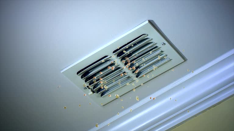 Best Air Duct Cleaning Near Me  in Westerville, OH